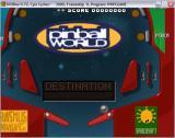 Pinball World